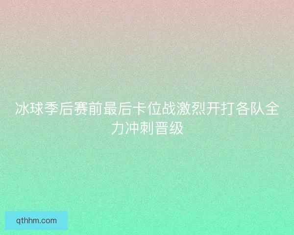 冰球季后赛前最后卡位战激烈开打各队全力冲刺晋级